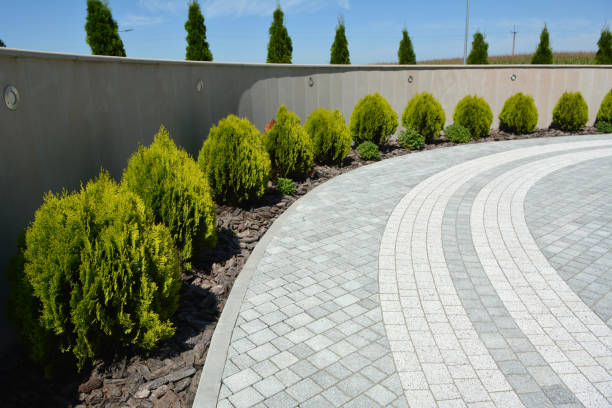 Best Decorative Driveway Pavers  in San Antonio Heights, CA